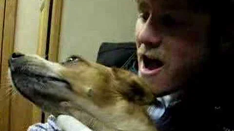 Jesse Pettigrew Rodeo Star Dog Trainer