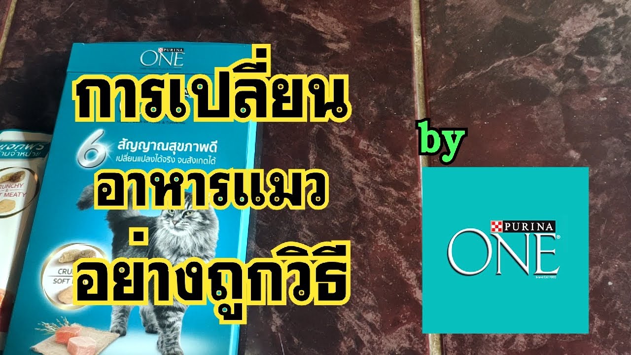 การเปลี่ยนอาหารอาหารแมวอย่างถูกวิธี ฉบับ purina one