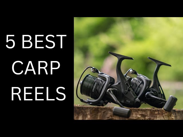 5 BEST CARP REELS  CARP FISHING REELS 