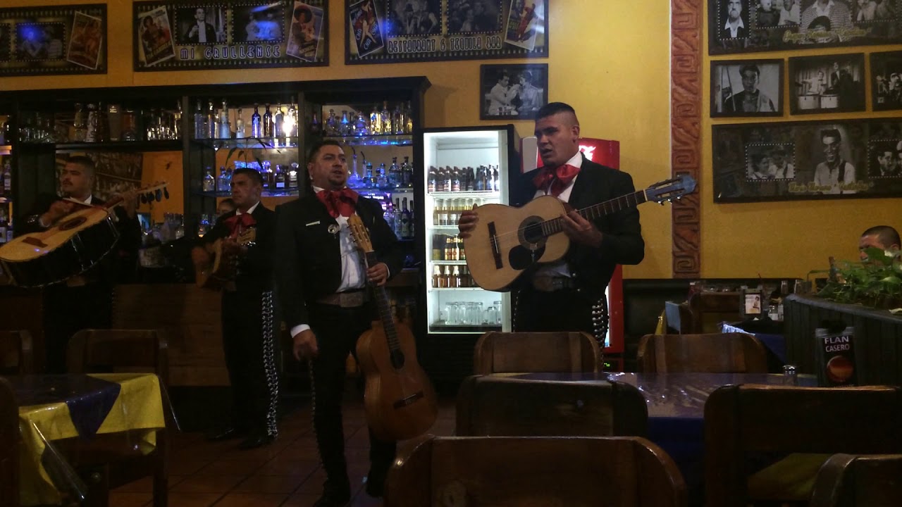 Ya vino el que andaba ausente - YouTube