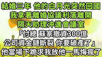 結婚三年 他的白月光突然回國，我拿著離婚協議利落離開，隔天助理沖進會議室，「付總 蘇家撤資300億，公司資金鏈斷裂 你要破產了」，他當場下跪求我放他一馬悔瘋了