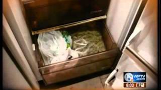 Pair arrested after grow house, 64 pounds of marijuana found
