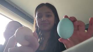 Egg change
