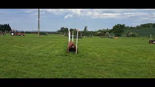 250511_Tumpy Green xc training_6