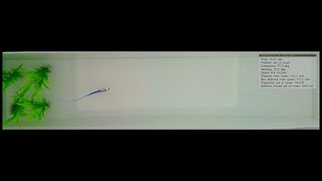 Automated tracking of boldness in fish