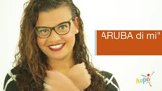 Elections 2017: ARUBA Express your Voice!