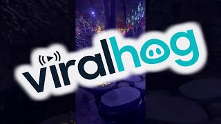 Magical Christmas Scene Interrupted by Person Tripping || ViralHog
