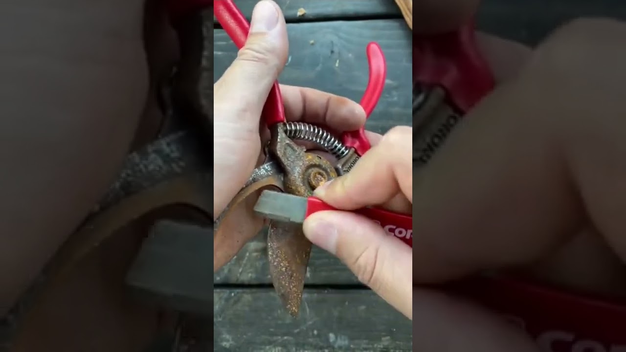 Amazing Plant cutter sharpening tool 