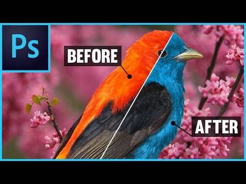 Photoshop CS/CC: How To Change Color of an Object - With Layers (Adobe Photoshop Tutorial)