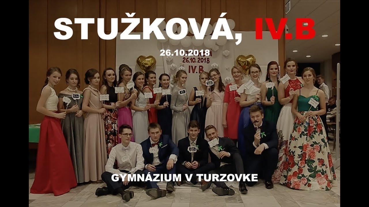 Zoznamka husle