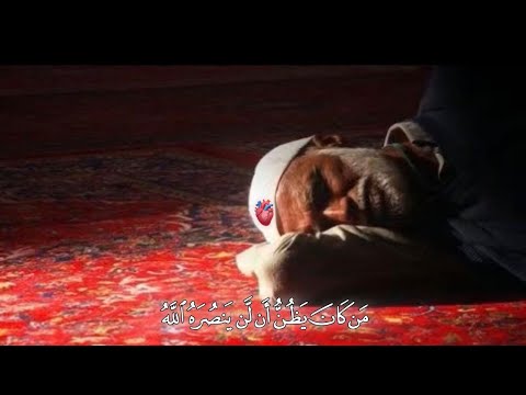 من كان يظن أن لن ينصره الله سوره الحج القارئ الشيخ حسن فهمي العدني تصميم بالكتابه