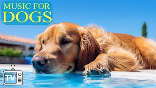 Soothe Dog's Anxiety: 24 Hrs of Dog Music  Anti Anxiety & Boredom Busting Videos with Music for Dog