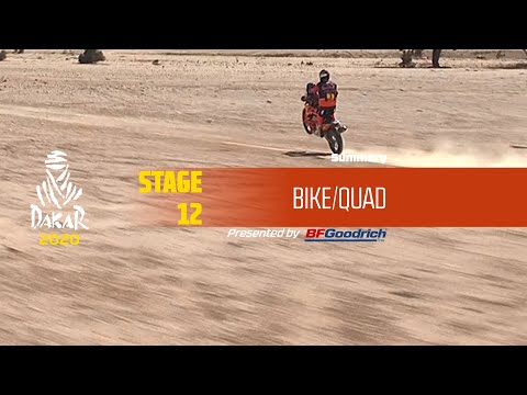Dakar 2020 - Stage 12 (Haradh / Qiddiya) - Bike/Quad Summary