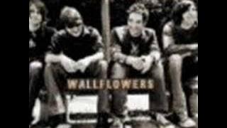 Download lagu Wallflowers - Sleepwalker
