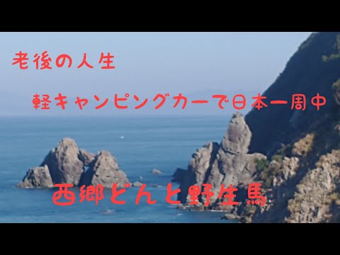 軽キャンピングカーで日本一周中　西郷どんと野生馬