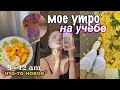 Мое Продуктивное Утро во время УЧЕБЫ 2021 🦋 рутина и советы