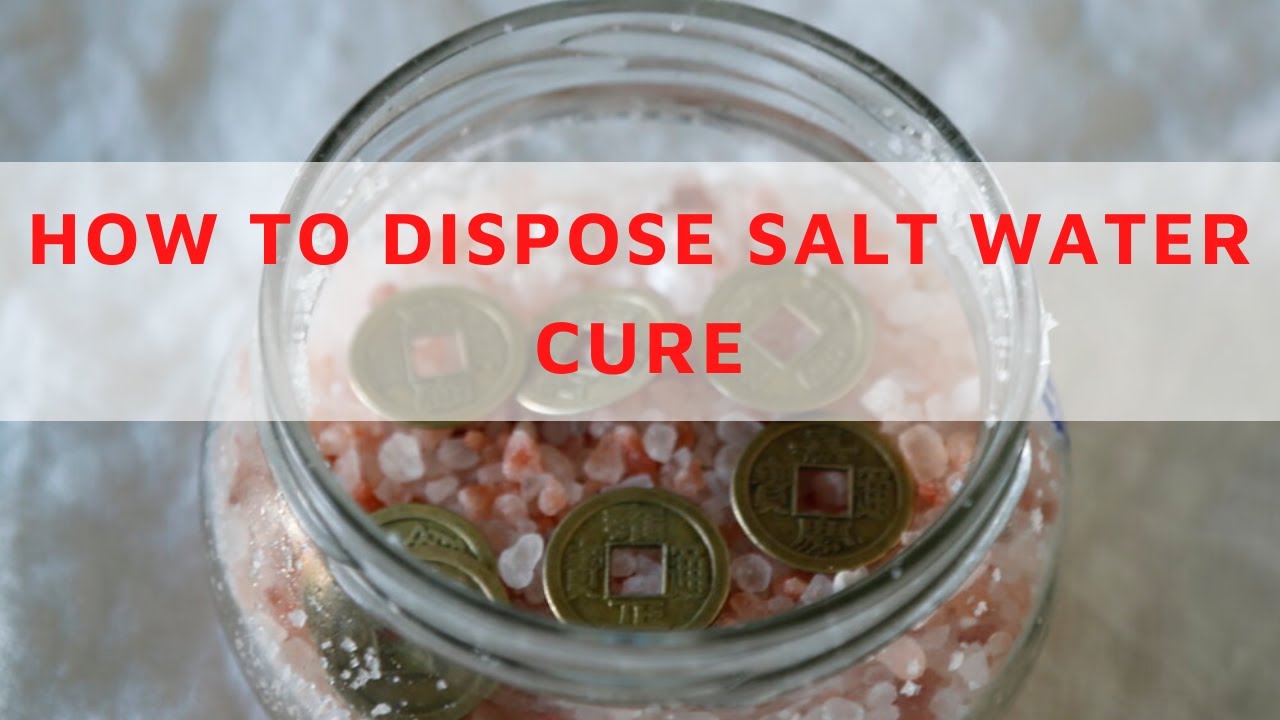 How To Dispose Salt Water Cure - Easy To Assemble Your Salt Water Cure.