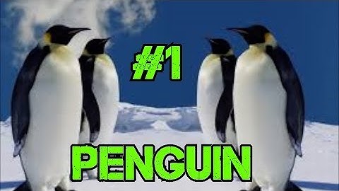 Custom Zombies - Penguin: No Thompson for Spider (Part 1)