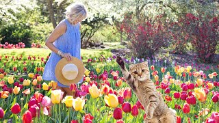 Very funny . The cat tries to help me take care of the flowers
