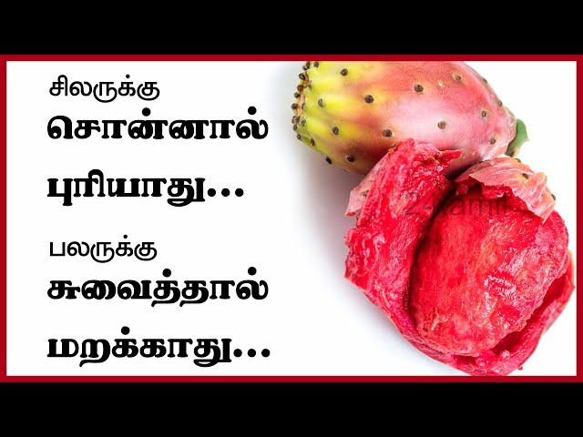 சப்பாத்தி கள்ளி பழம் நாம மதிக்கிறது இல்ல.  வெளிநாட்டுல??  Prickly Pear fruit Health Tips | 24 Tamil
