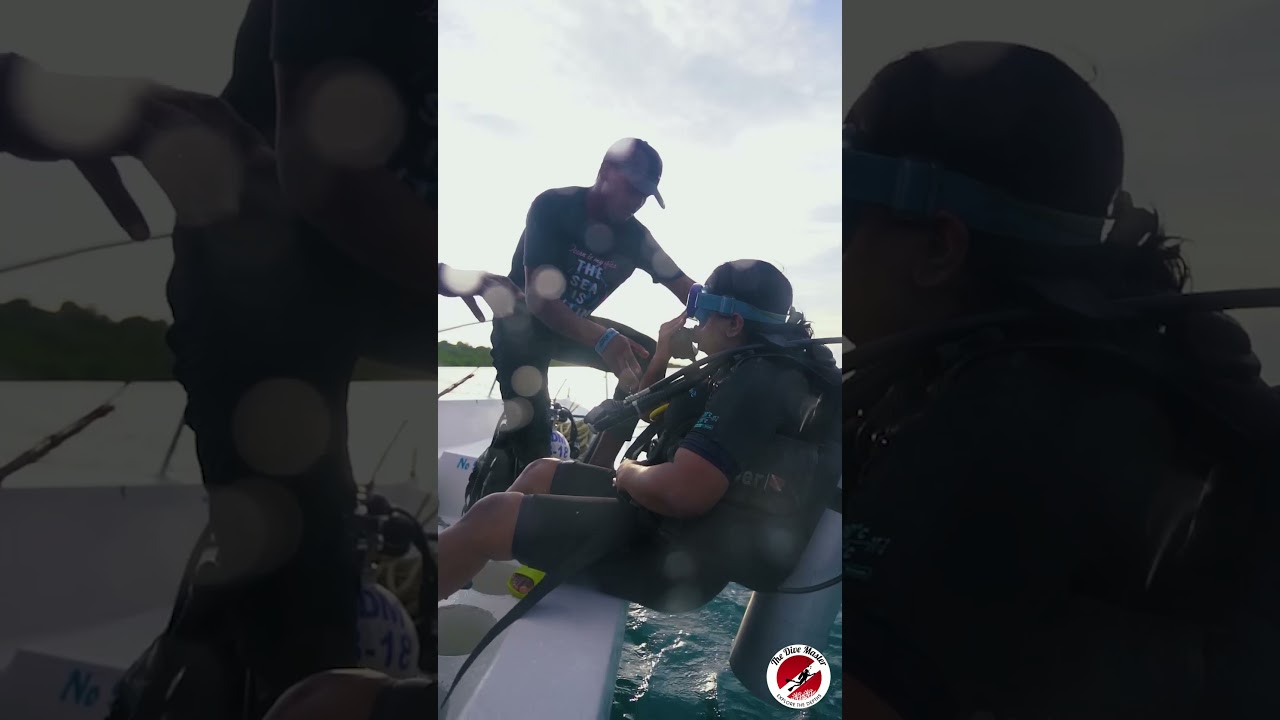 First Time Scuba Diving? Complete Guide to Diving in Havelock Andaman 🌊