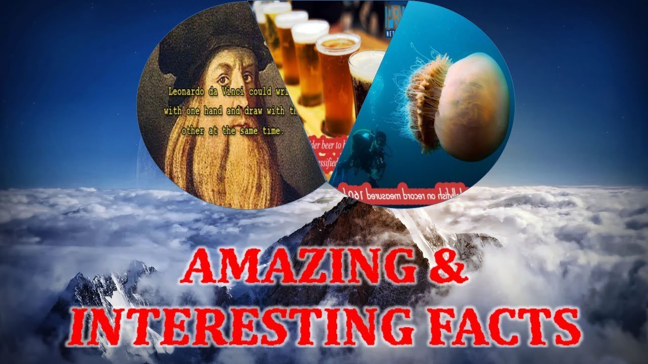 Amazing And Interesting Facts YouTube