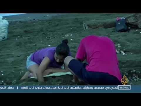 هذا الصباح- مبادرة لإنقاذ السلاحف في كوستاريكا