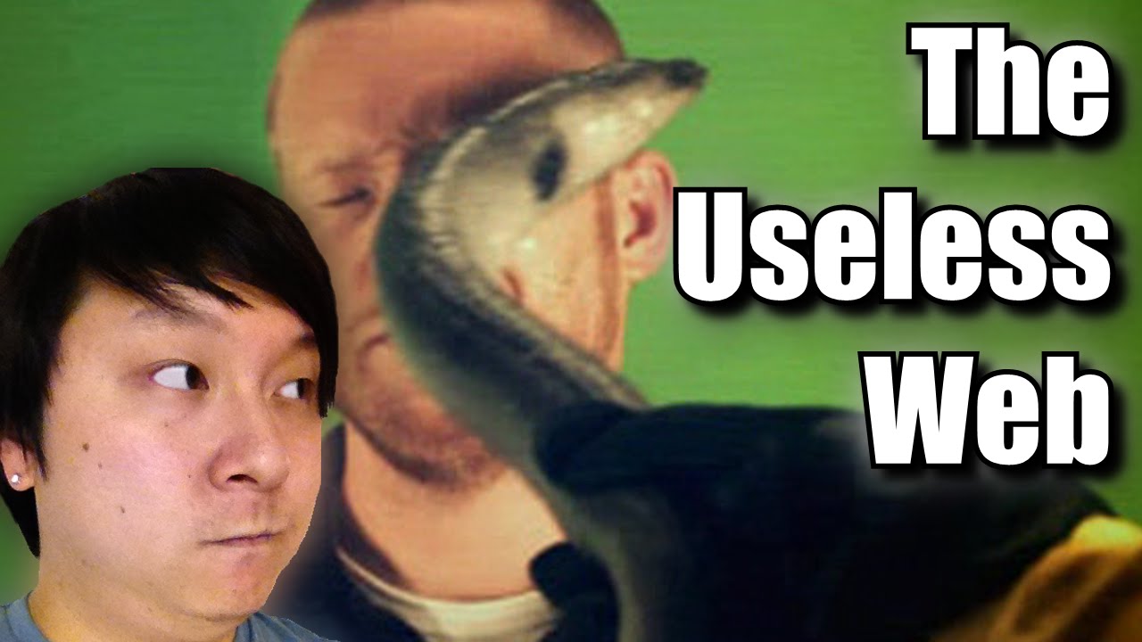 BEST WEBSITES EVER The Useless  (Reaction Compilation) YouTube