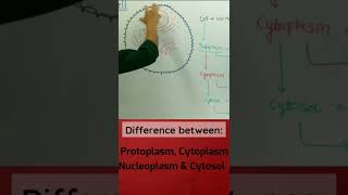 Protoplasm vs Cytoplasm vs Nucleoplasm vs Cytosol || #apnasapnajrf