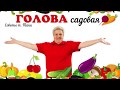 Голова садовая - Полный обзор семян сладкого перца