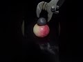 1000c HCB vs Apple #experiment #satisfying #donebyprofessional #relaxing