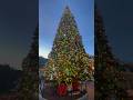 Disneyland Tree Lighting Ceremony on Main Street USA!🎄#Disneyland #christmas #disney #disneyparks