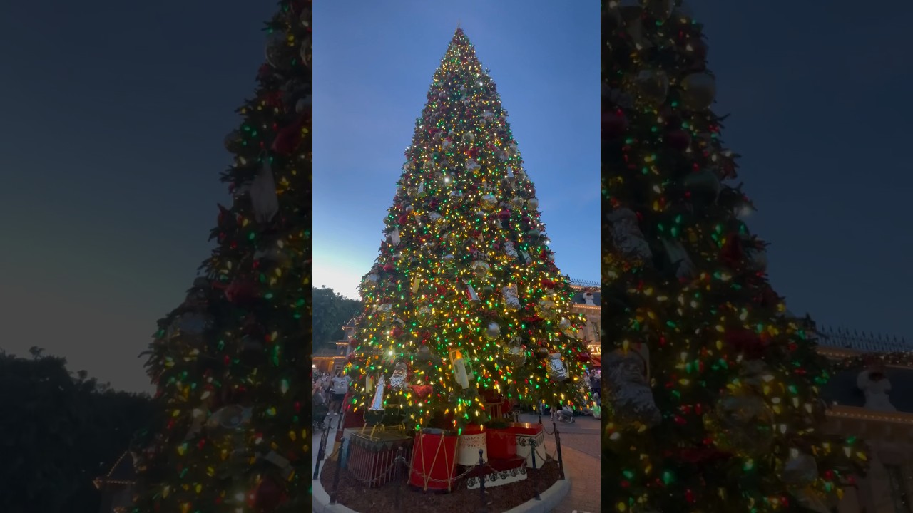 Disneyland Tree Lighting Ceremony on Main Street USA!🎄#Disneyland #christmas #disney #disneyparks