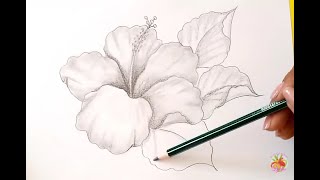 Dibujos A Lápiz Como Dibujar Una Flor / Hibiscus / How To Draw A Flower