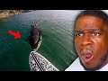 TOP TEN Killer Whale (Orca) Encounters Caught On Tape reaction