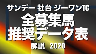 サンデー、社台、ジーワンTC2020　全募集馬　血統推奨データ一覧　【計算する血統】No.55