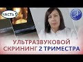 УЗИ 2 триместра. Сроки и задачи ультразвукового скрининга второго триместра. Беременность в ЦИР.