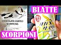 CHE SCHIFO! MANGIAMO SCORPIONI e BEVIAMO BLATTE! - Vivi Giappone