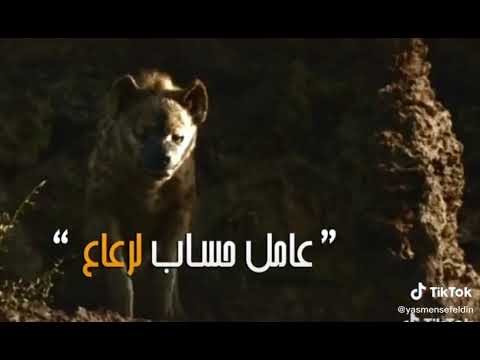 حالة واتس من امتا كان الأسد عامل حساب لرعاع مسلم