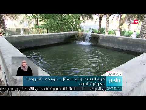 بث مباشر نشرة أخبار العاشرة مساء