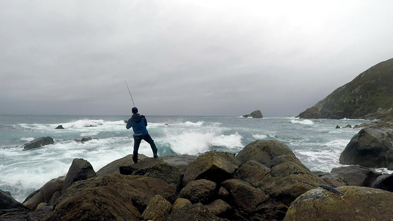 Robalo a la fuga con piercing “un vinilo”