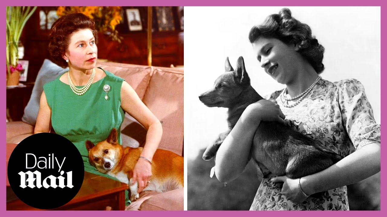 Queen Elizabeth II and her Corgis: A Complete History