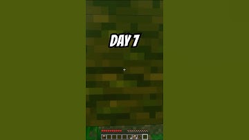 Mining 1 Block a Day Until I Find Diamond (Day 7)