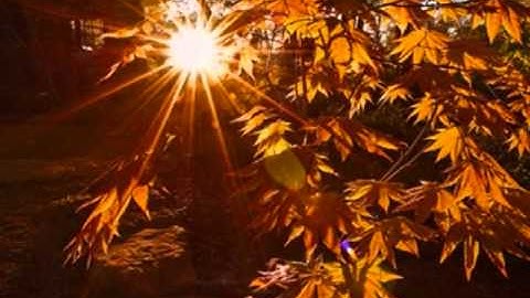 Isaac Hayes   Going In Circles