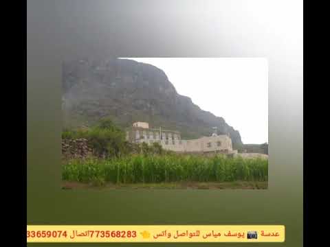 سلام يا ديره عصيه 