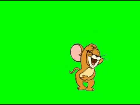Video Chuột Jerry nền xanh - Video Chèn Clip... - youtube