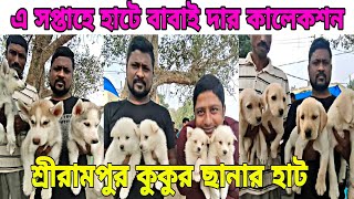 very cheap price dog available serampore pet market | Dog puppy price update | serampore pet market by pom Tv Love dog & (vlog) 165 views 4 months ago 2 minutes, 59 seconds