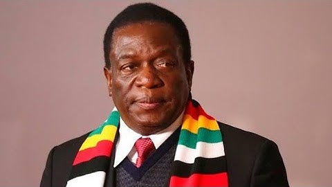 Inzwaiwo Mega Hanzi ED Wakwegura Ndachinorima... Hanzi Pisayi Property Yese YeZanu PF Pa Protest
