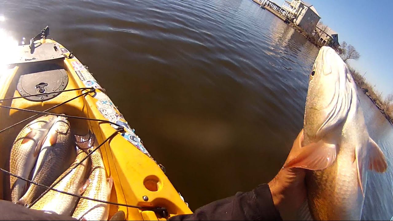 Easiest Redfish Ever!!! Redfish Limits Kayak Fishing in Myrtle Grove