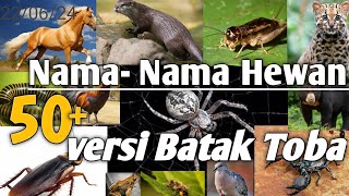 50  Animal Names in Toba Batak Language